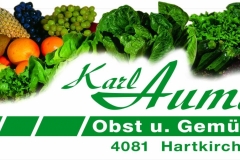 Logo-Firma-Karl-Aumayr-e.U-4081-Hartkirchen_1920x1080_300dpi1-1